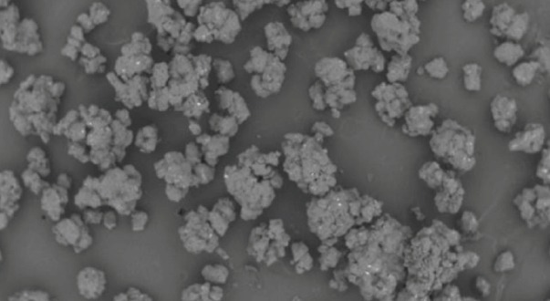 Figure 1: SEM Image of Palm (Arenga pinnata) Sugar at Low Magnification.