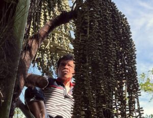 Petani