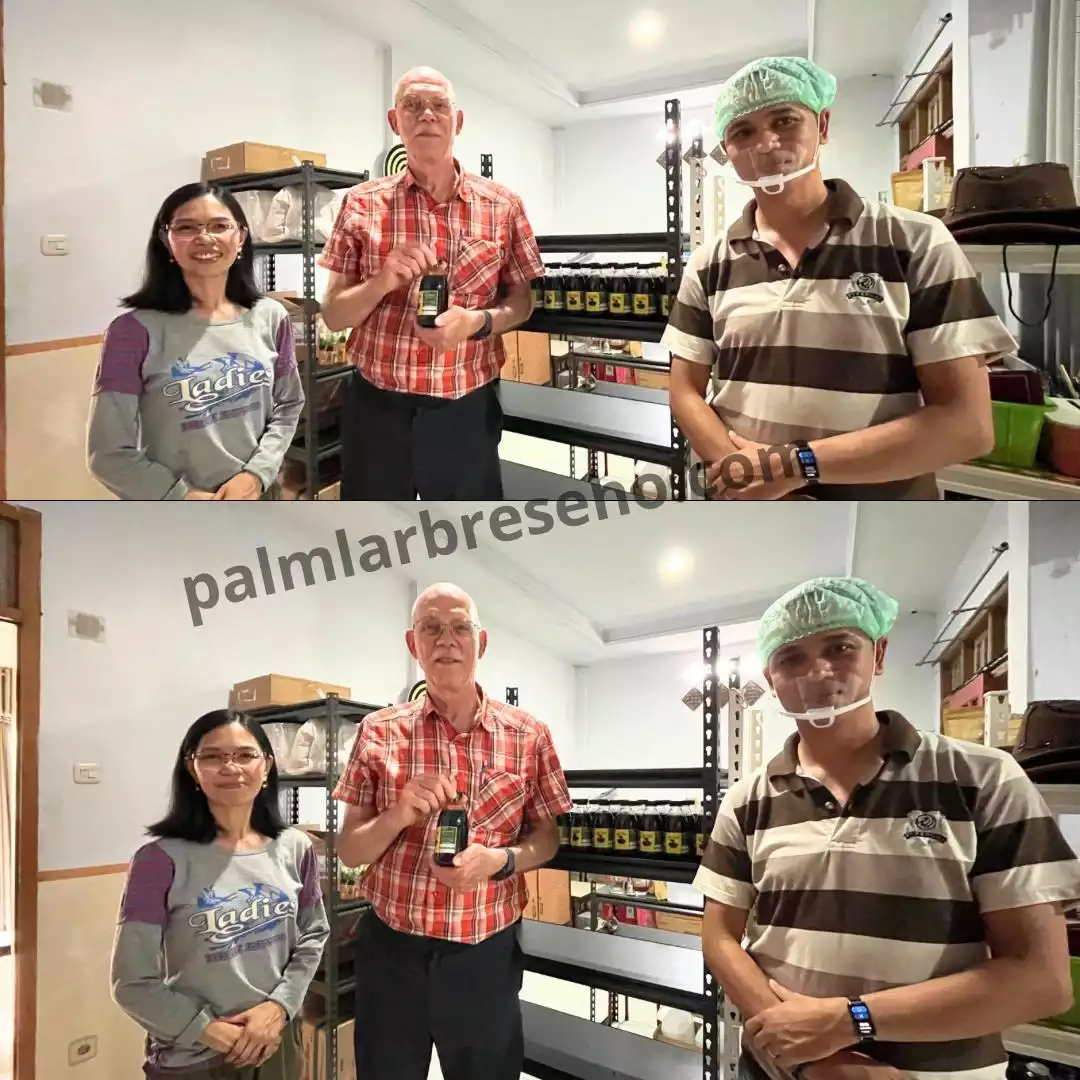Jual Gula Aren Online Kirim Seluruh Indonesia