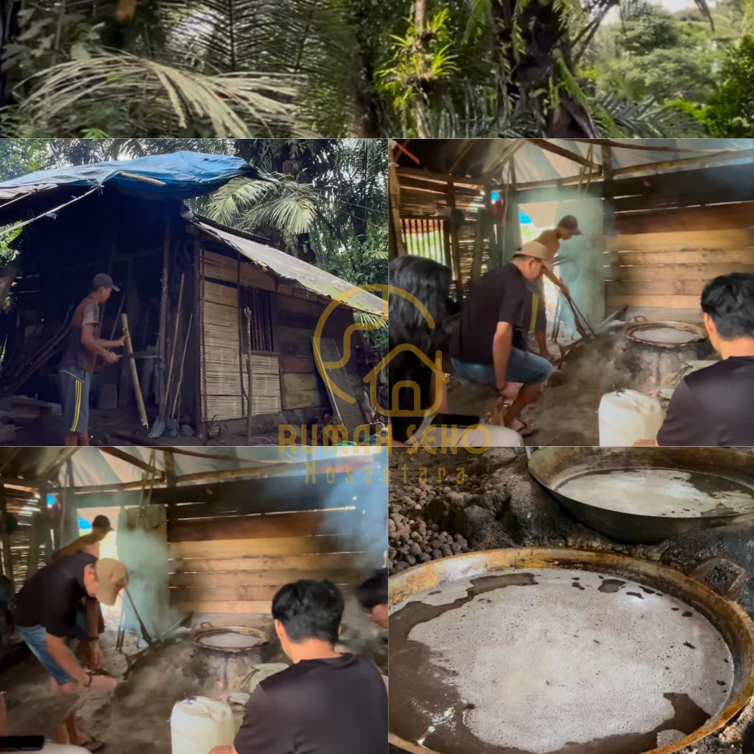 Supplier Palm SUgar From Indonesia